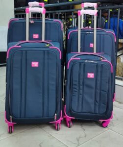 4-piece navy blue and pink softside luggage set with spinner wheels